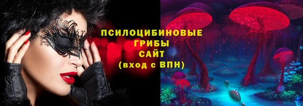 ПСИЛОЦИБИНОВЫЕ ГРИБЫ Гусиноозёрск
