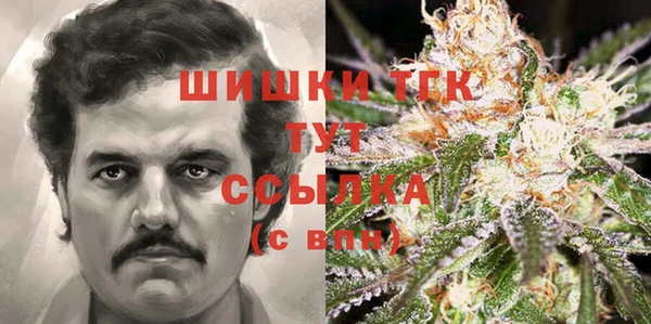 тгк Дмитров