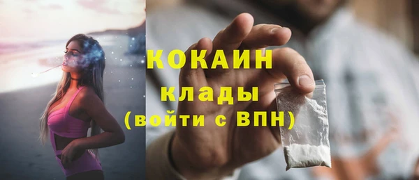 дживик Гусев