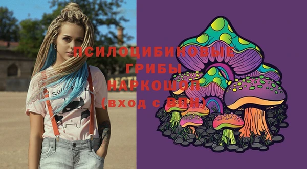 дживик Гусев