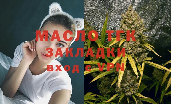 тгк Дмитров